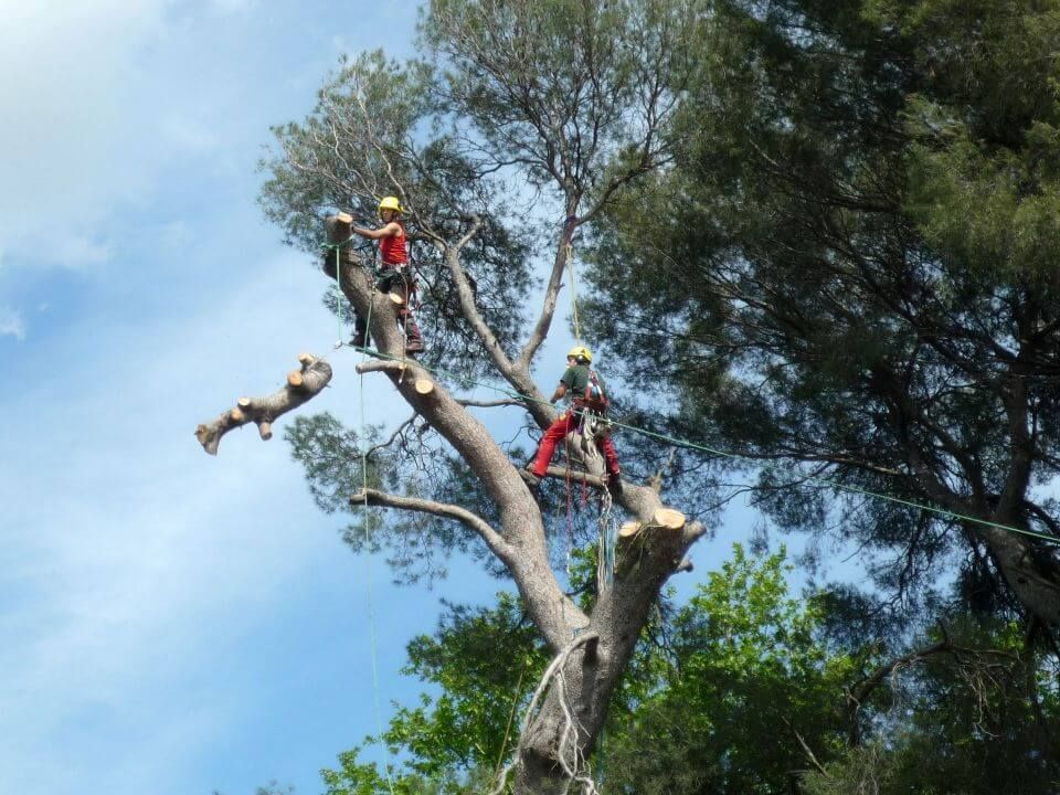 démontage grammont - SERPE.jpg