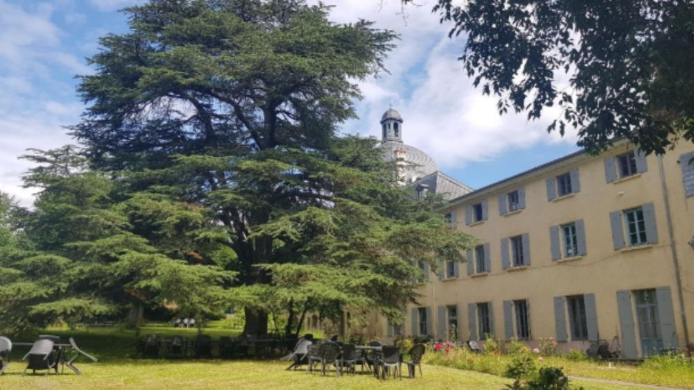 Serpe Conseil - Diagnostic arboricole à Caluire-et-Cuire.jpg