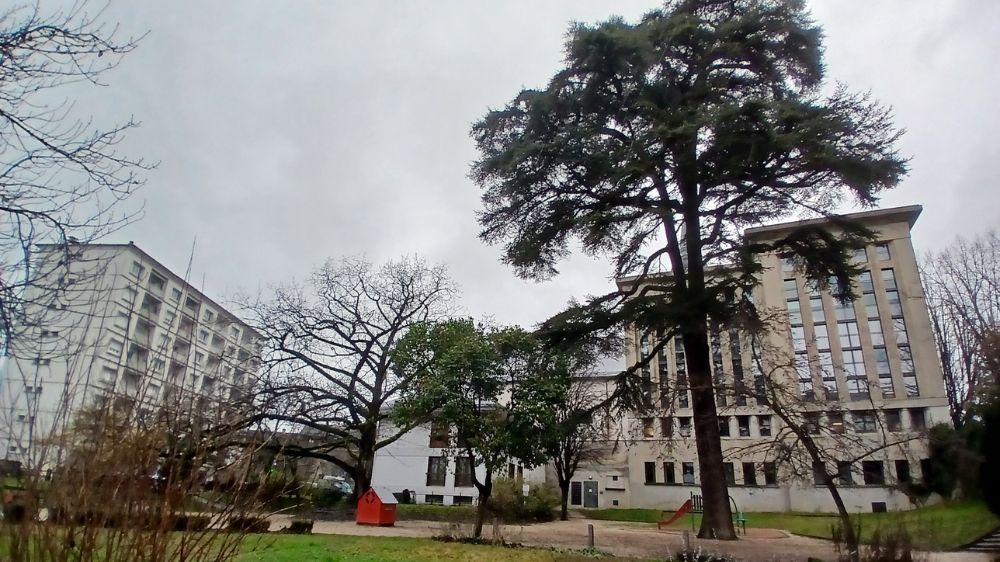 Serpe Conseil - Inventaire et diagnostic arboricole au Parc du Muséum d’Histoire Naturelle de Chambéry.jpg