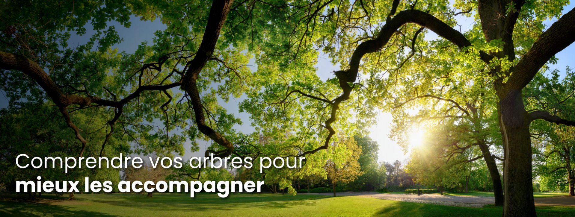 Banniere-Serpe-Conseil-Hero.jpg